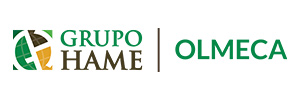logo cliente grupo hame